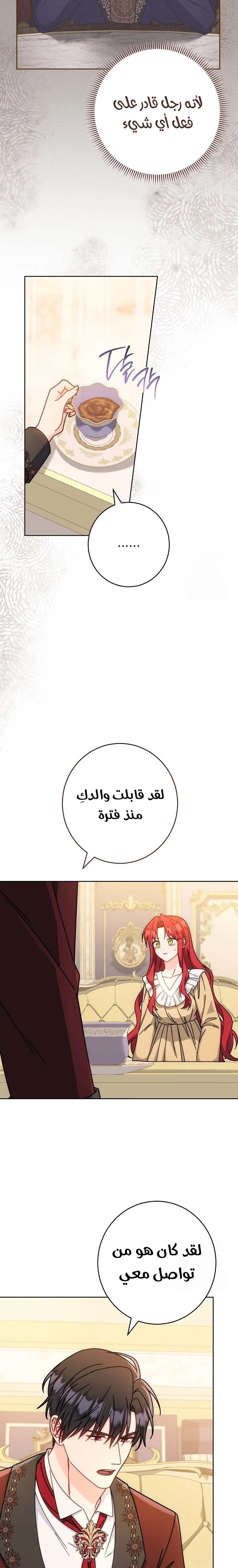 الصفحة 15