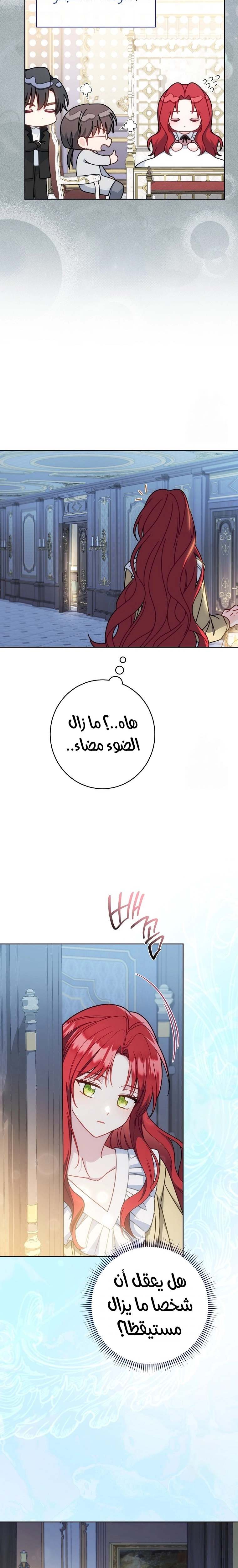 الصفحة 25