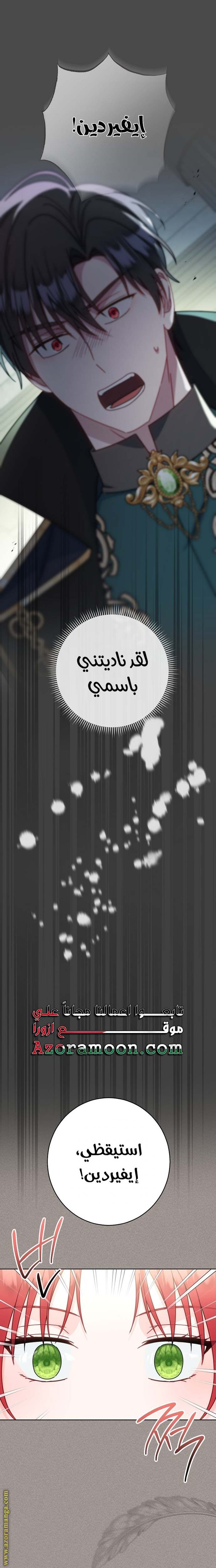 الصفحة 15