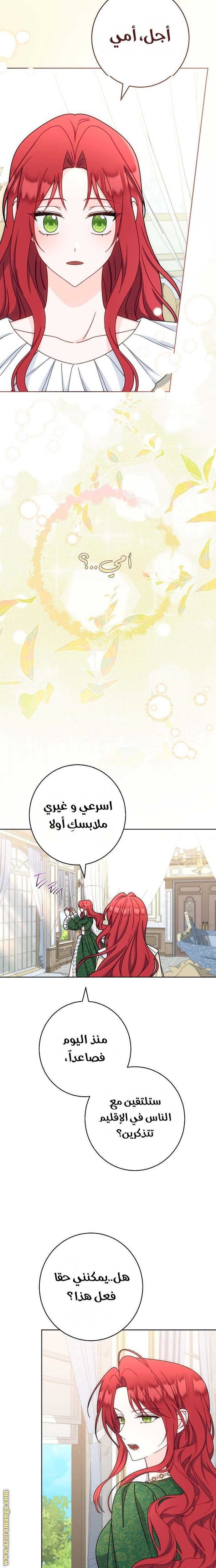 الصفحة 17