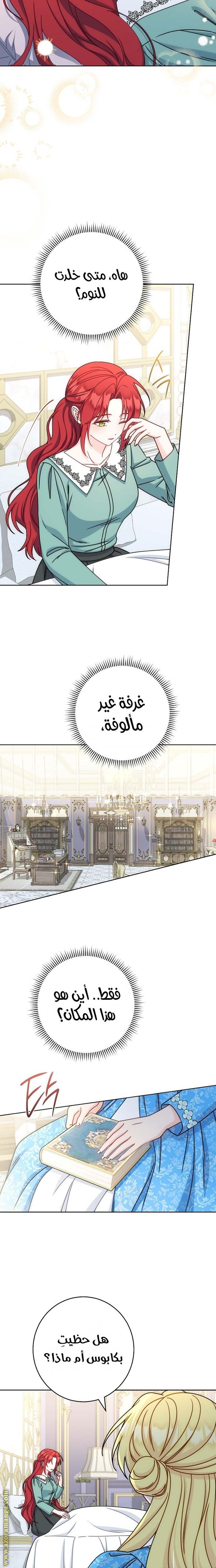 الصفحة 21