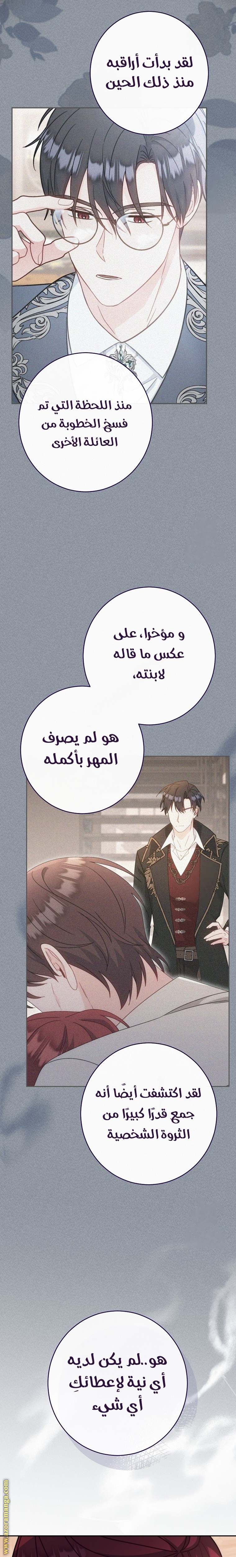 الصفحة 17