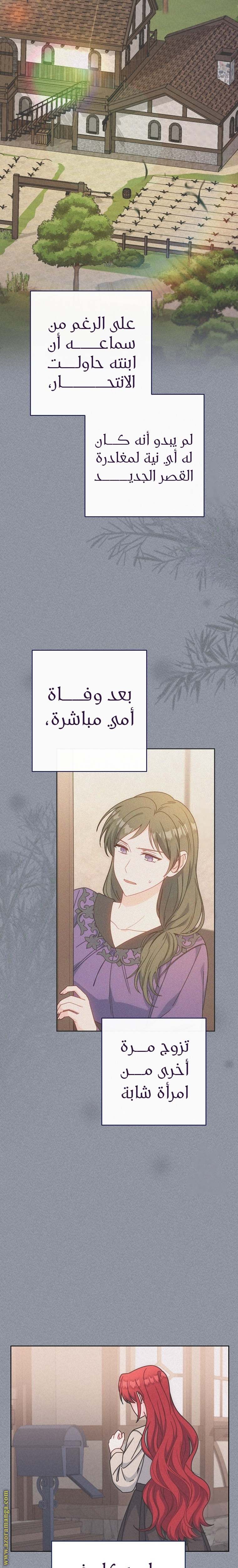 الصفحة 21