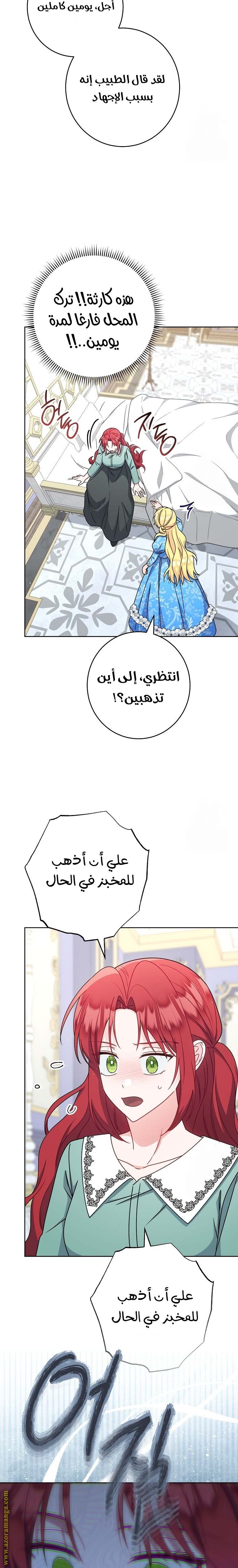 الصفحة 21