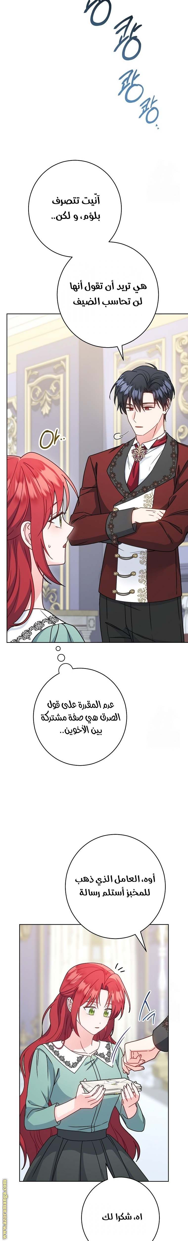 الصفحة 26