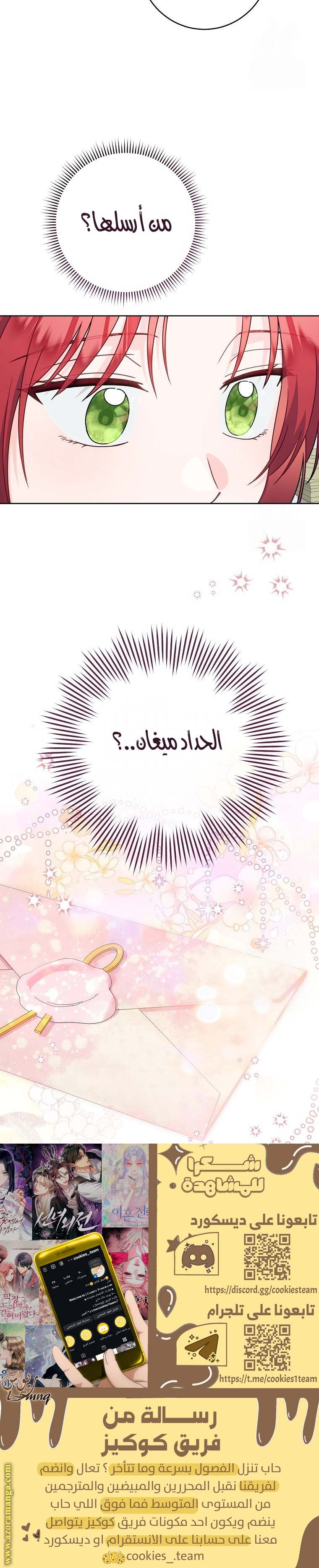 الصفحة 27