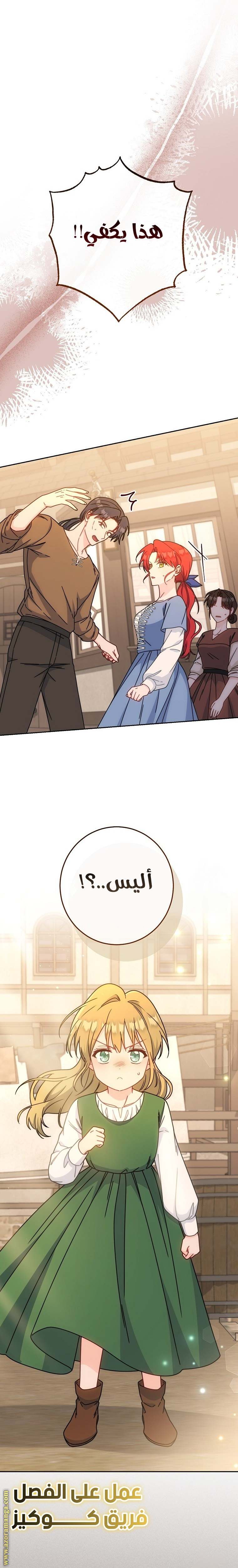 الصفحة 17