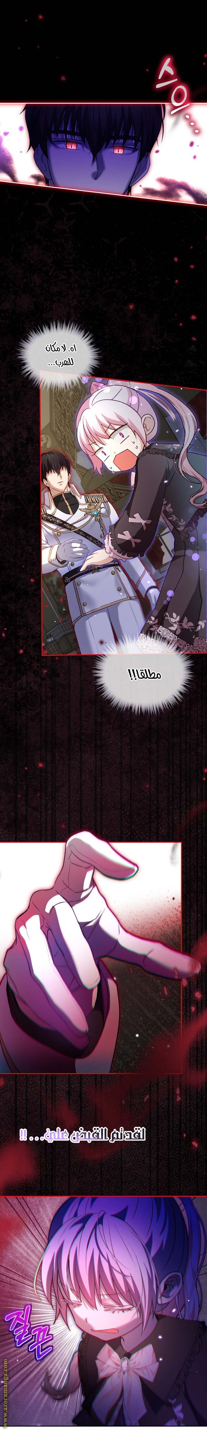 الصفحة 25