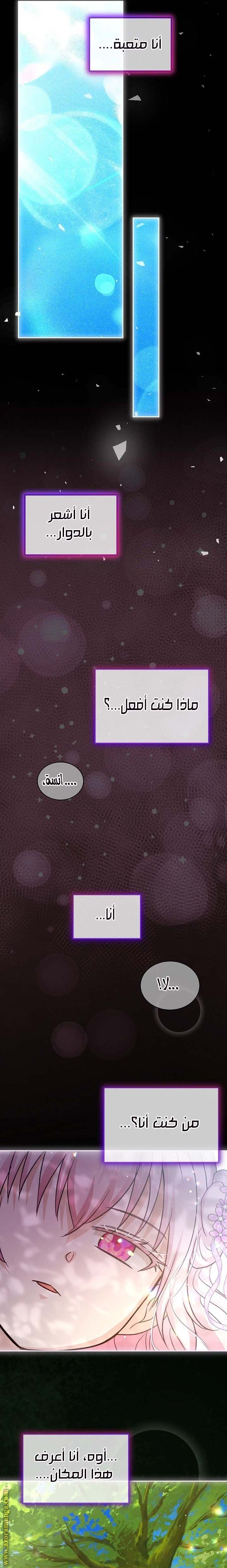 الصفحة 15