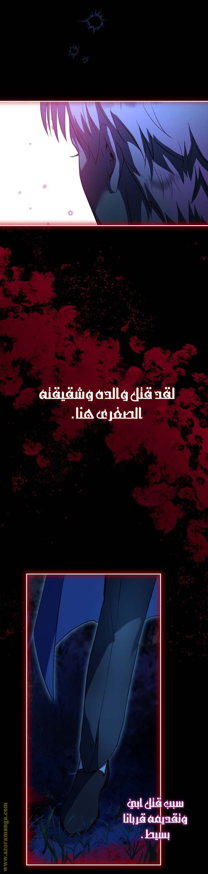 الصفحة 17
