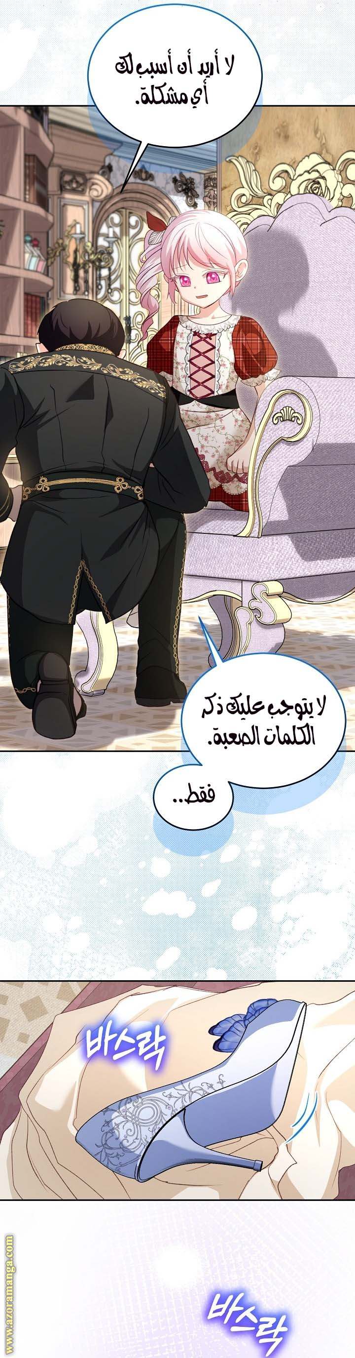 الصفحة 17
