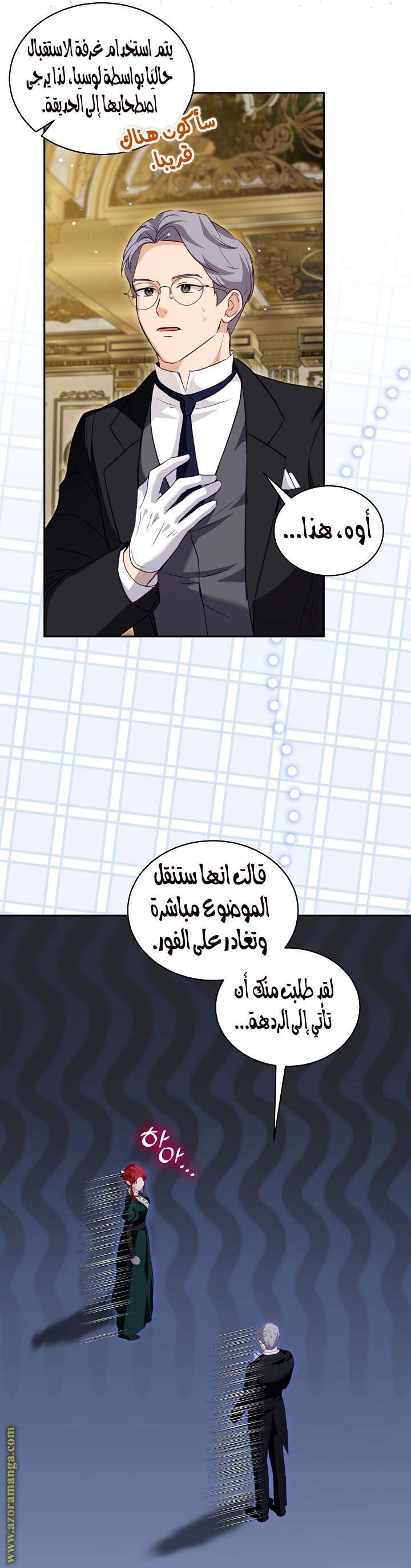 الصفحة 26