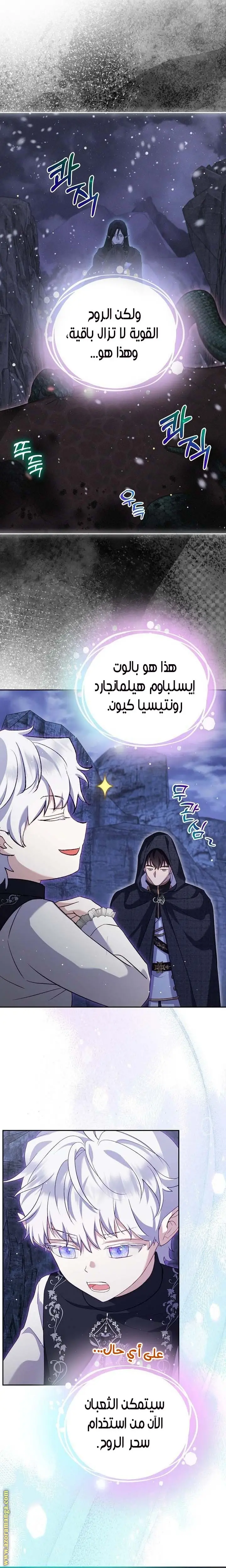 الصفحة 13