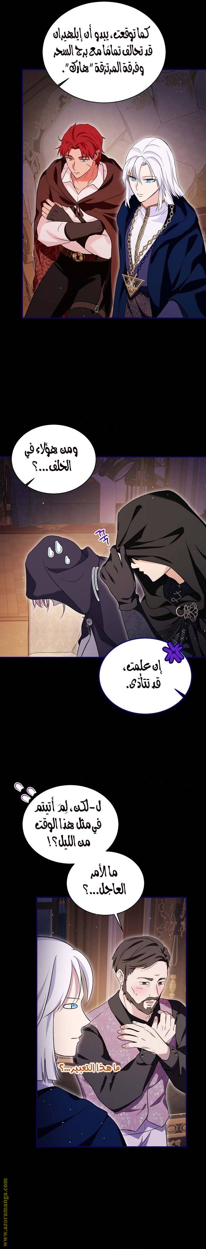 الصفحة 13