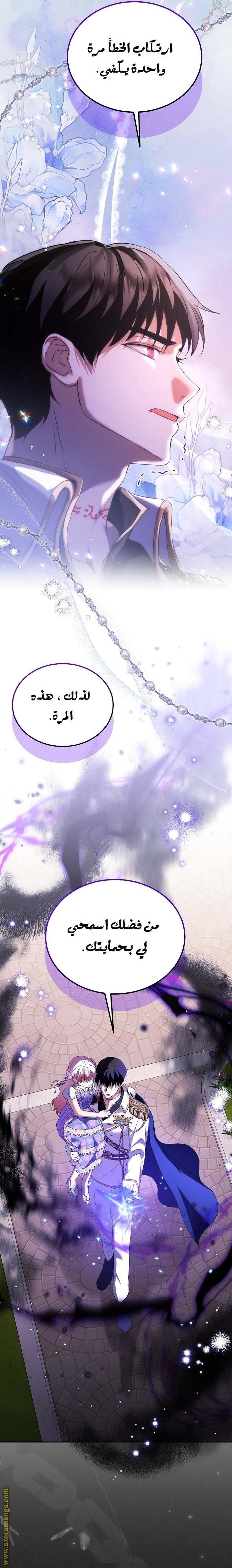 الصفحة 17