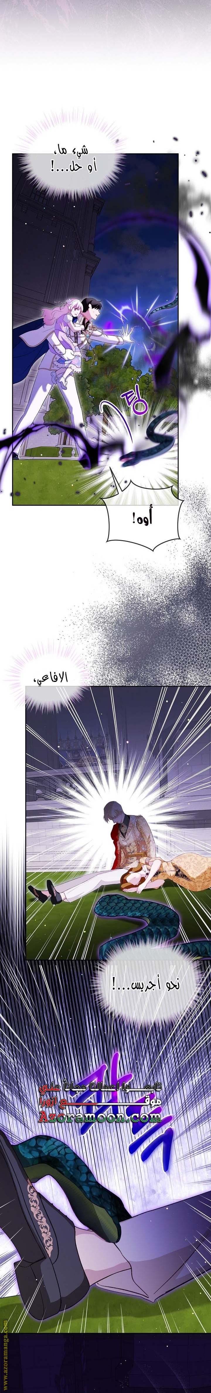 الصفحة 19