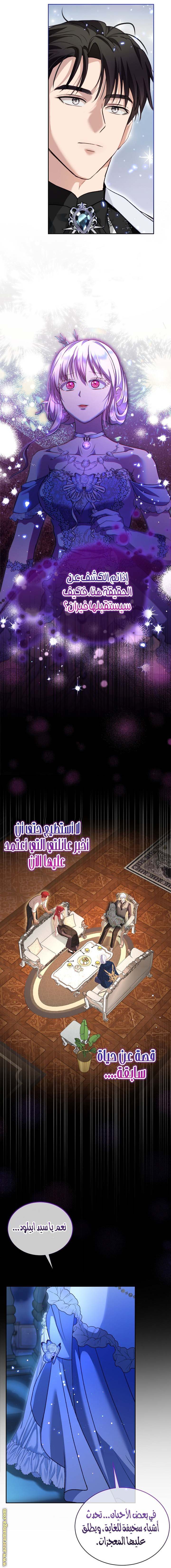 الصفحة 13