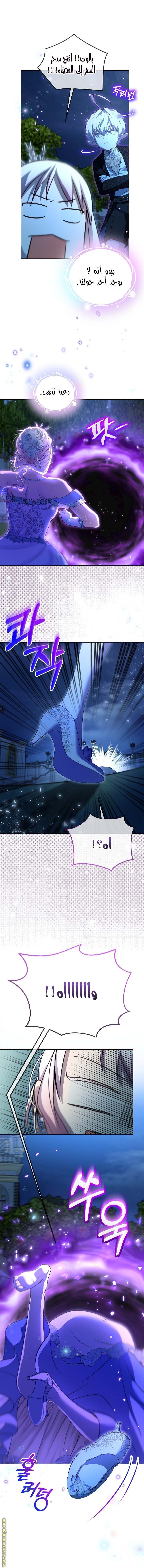 الصفحة 17
