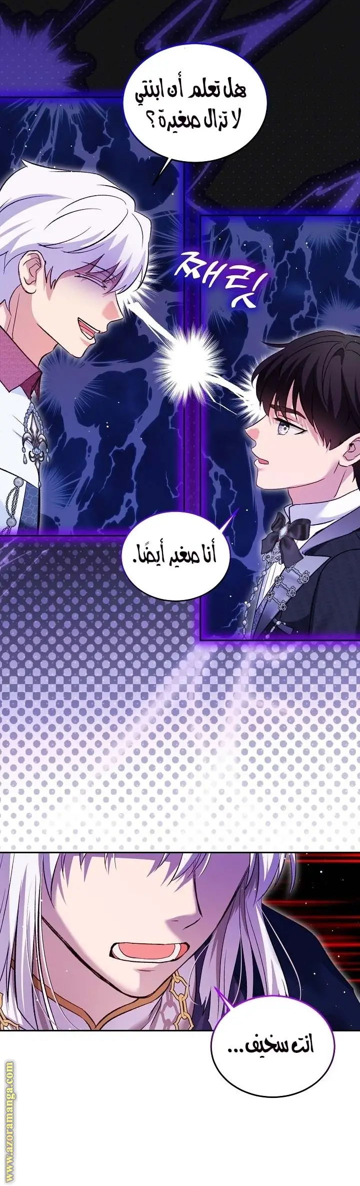 الصفحة 17