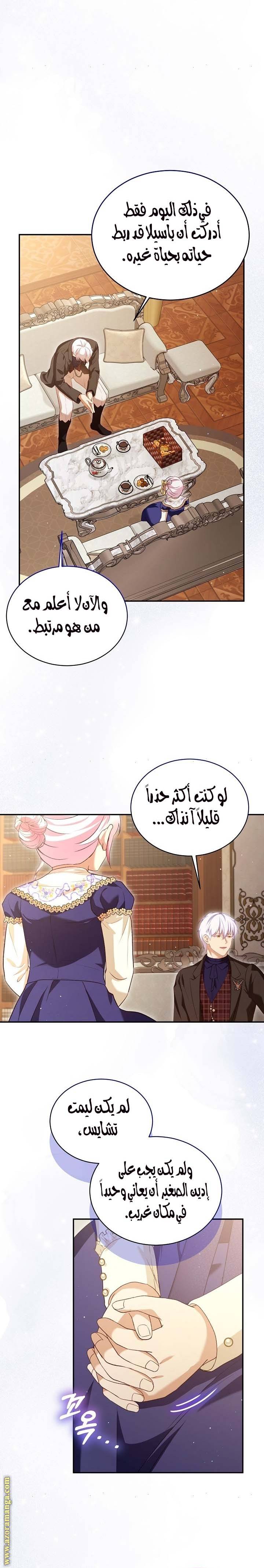 الصفحة 17