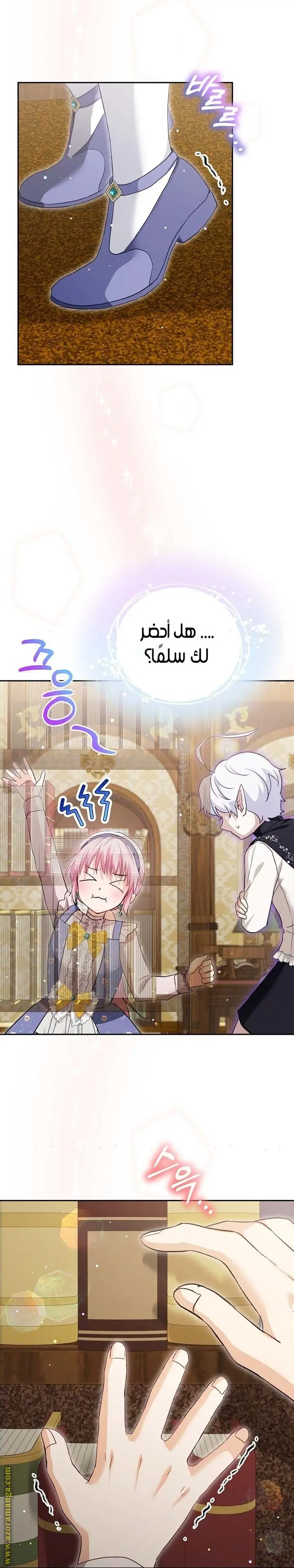 الصفحة 17