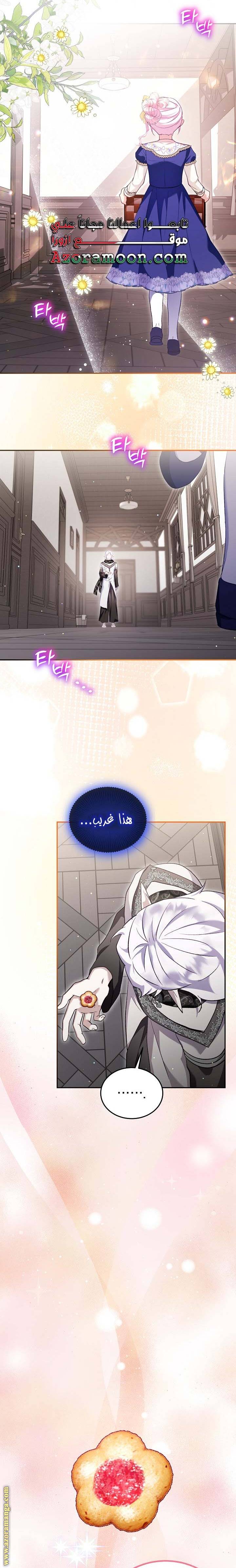 الصفحة 21