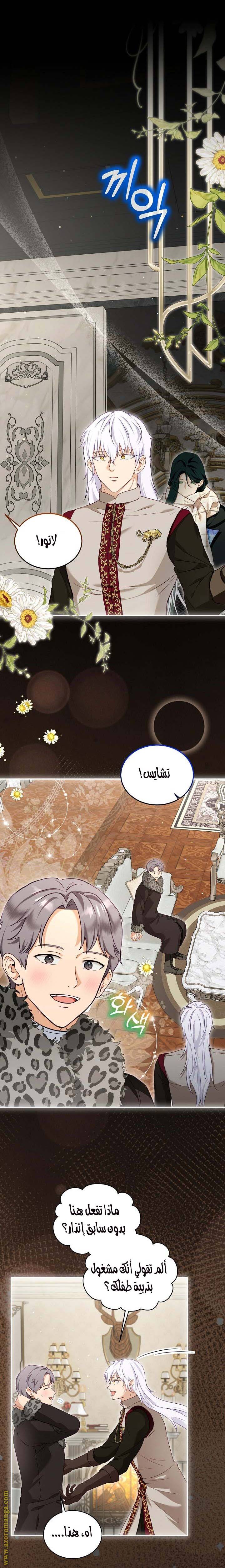 الصفحة 13