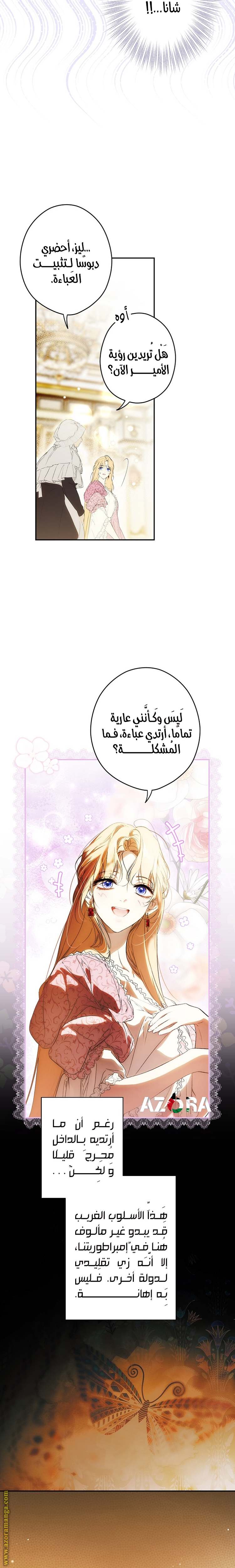 الصفحة 13