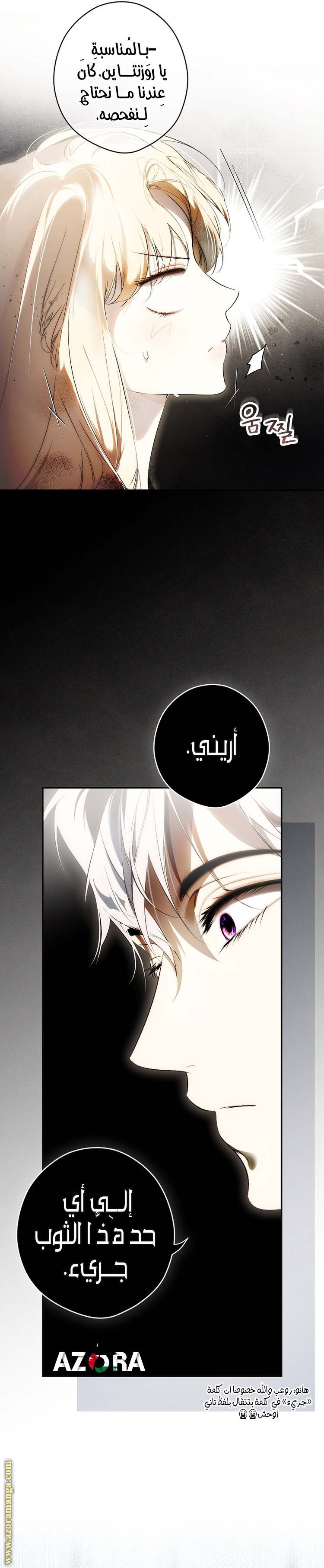 الصفحة 17