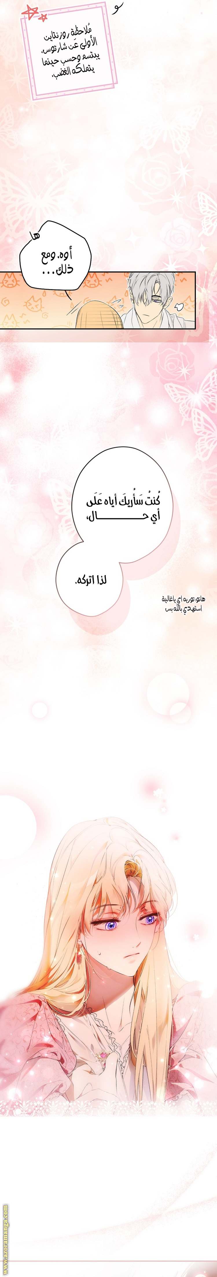 الصفحة 19