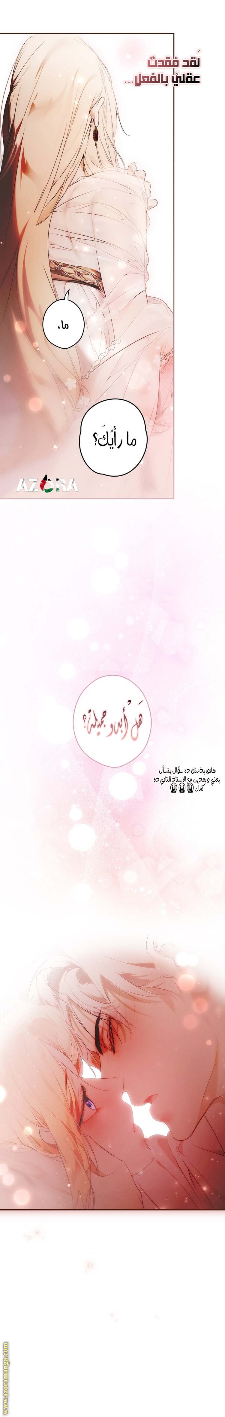 الصفحة 21