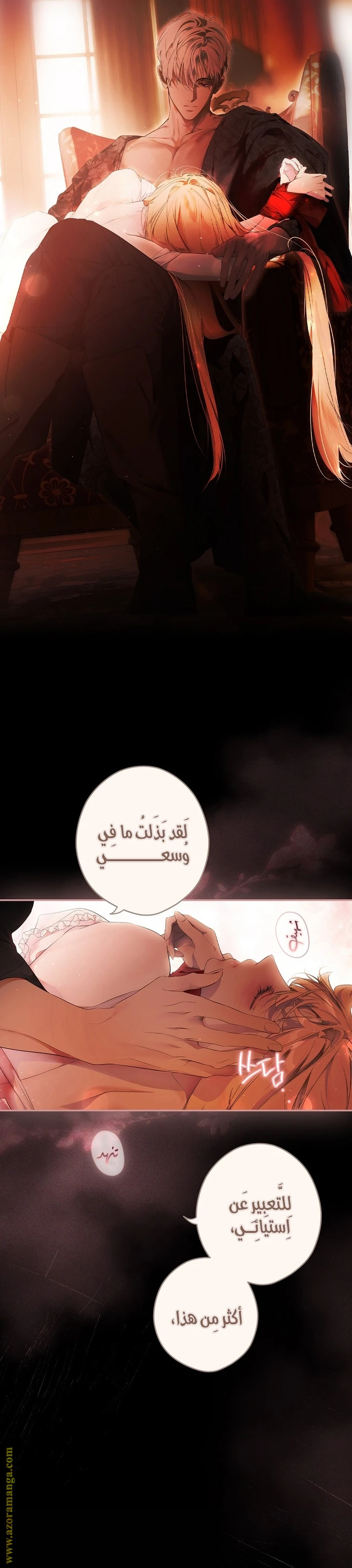 الصفحة 11