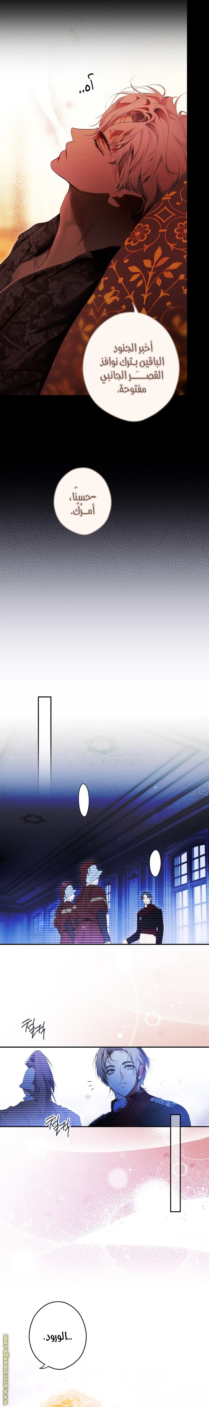 الصفحة 13