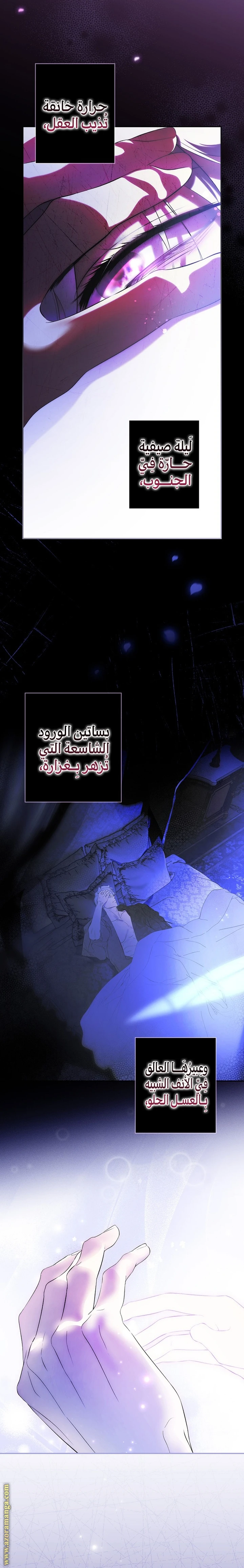 الصفحة 15