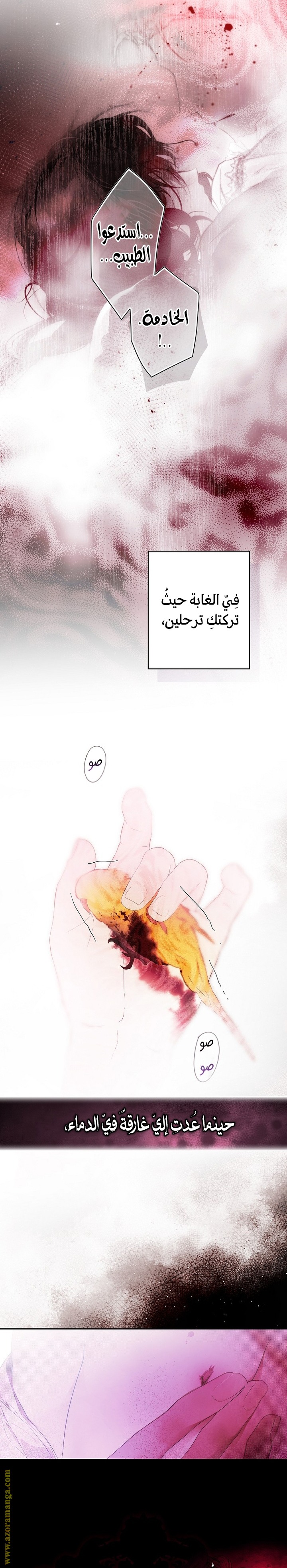 الصفحة 12