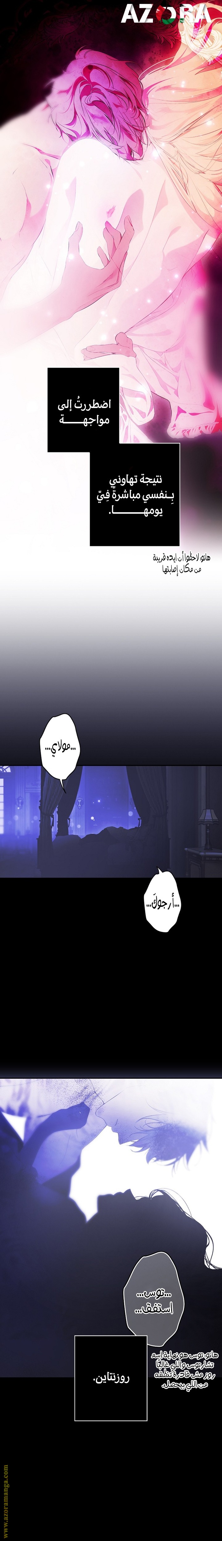 الصفحة 13