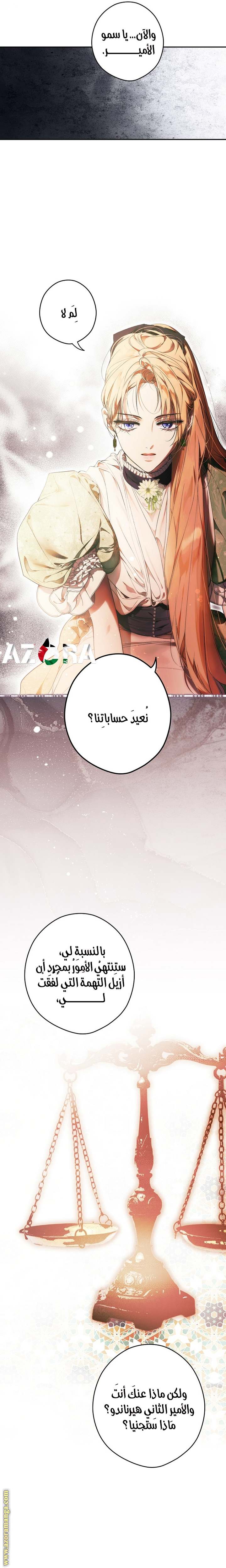 الصفحة 17