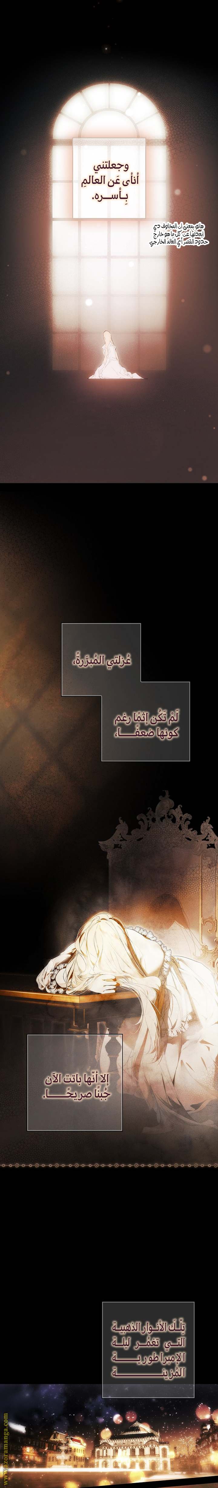 الصفحة 17
