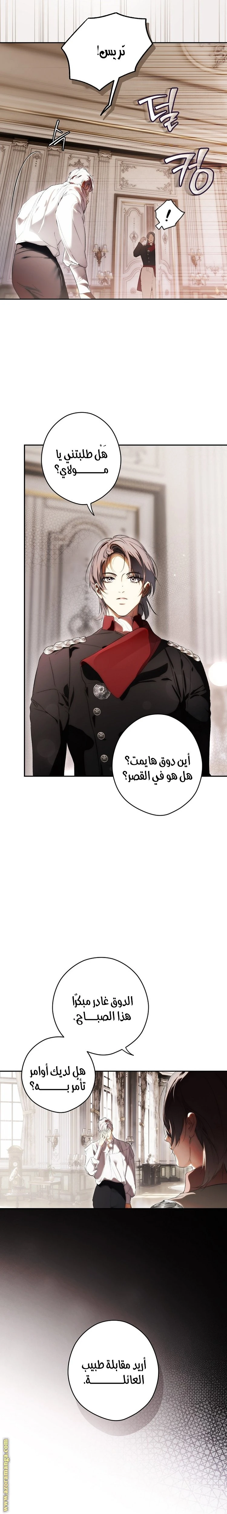 الصفحة 11