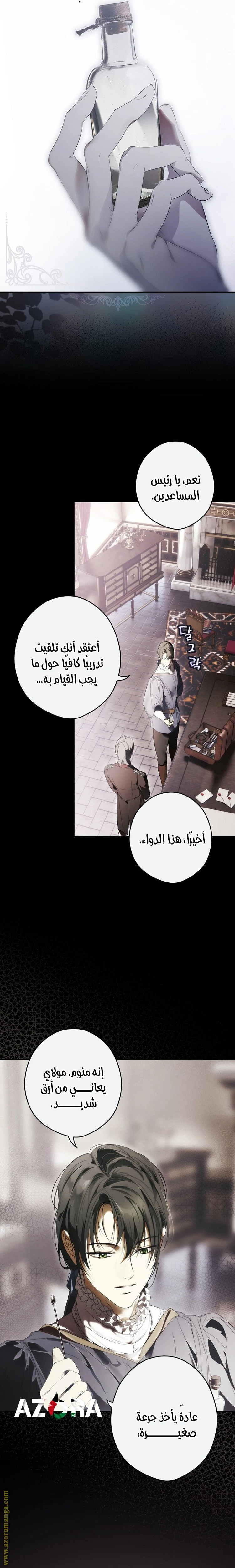 الصفحة 13
