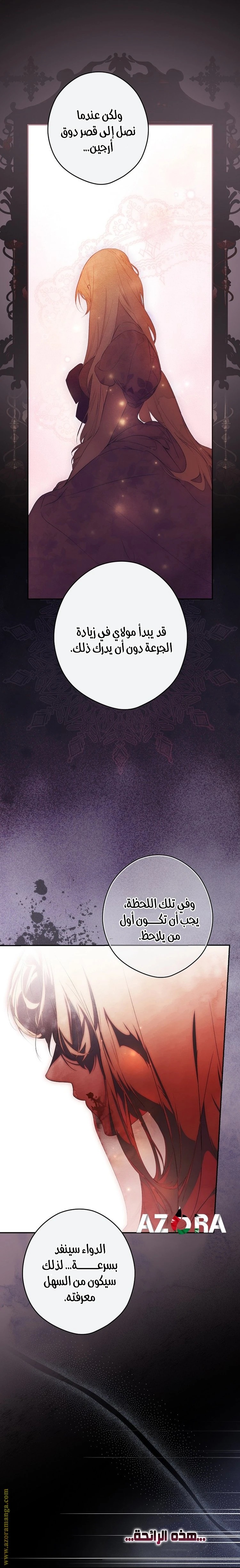 الصفحة 14