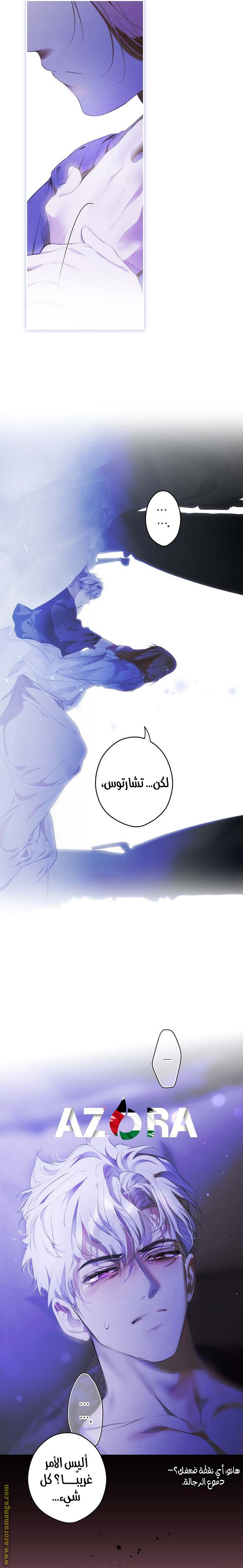 الصفحة 16