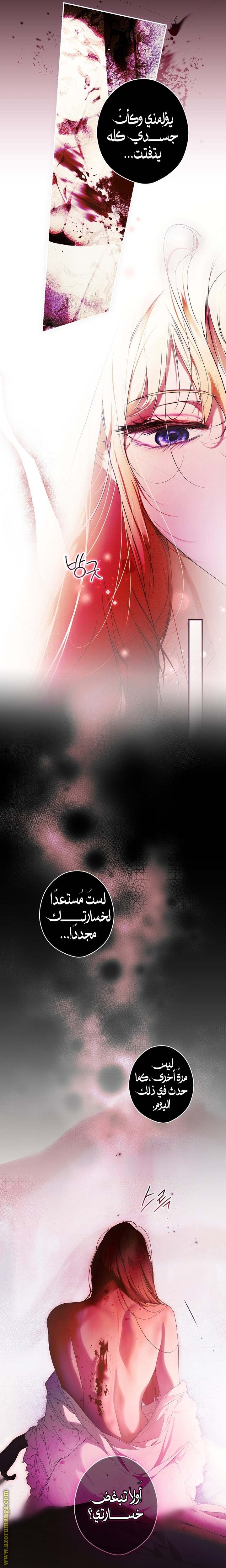 الصفحة 17
