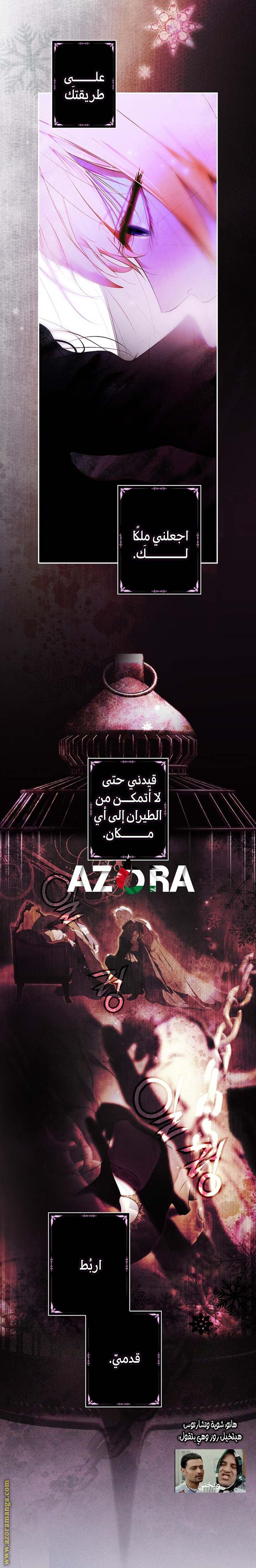 الصفحة 19