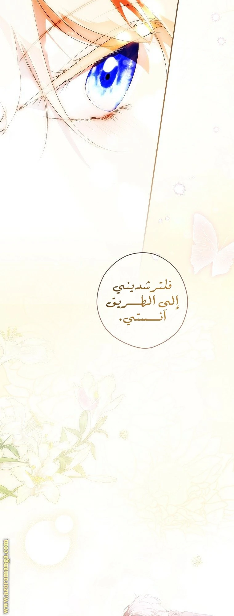 الصفحة 26