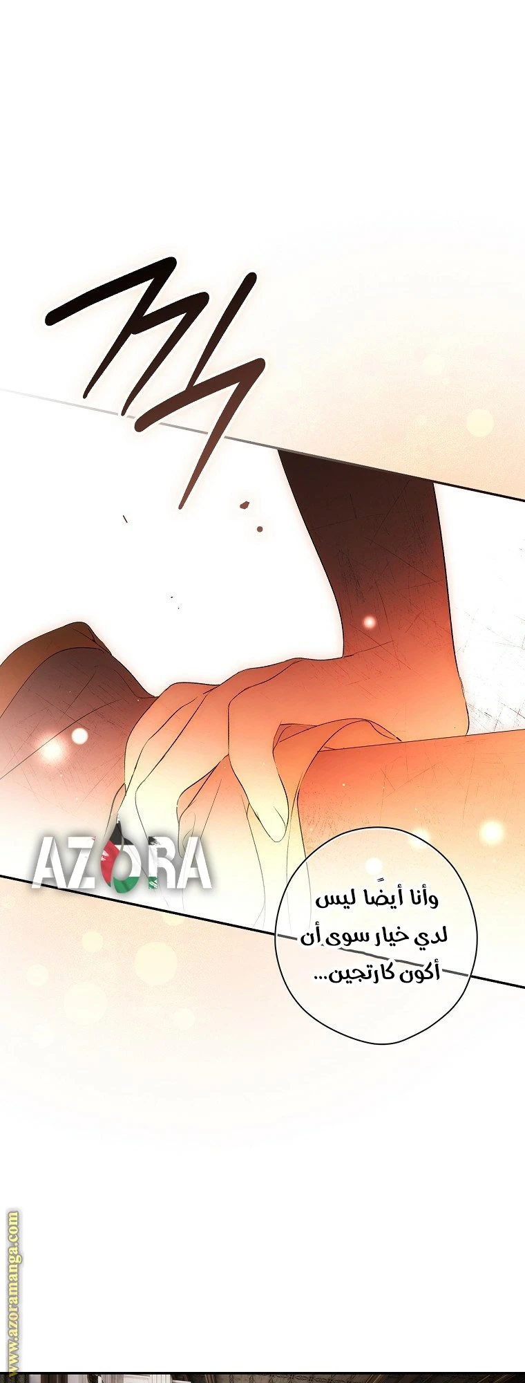 الصفحة 41