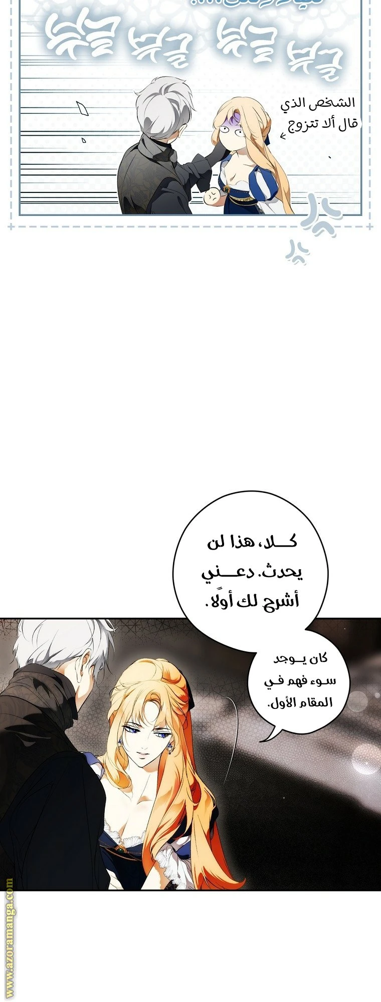 الصفحة 46