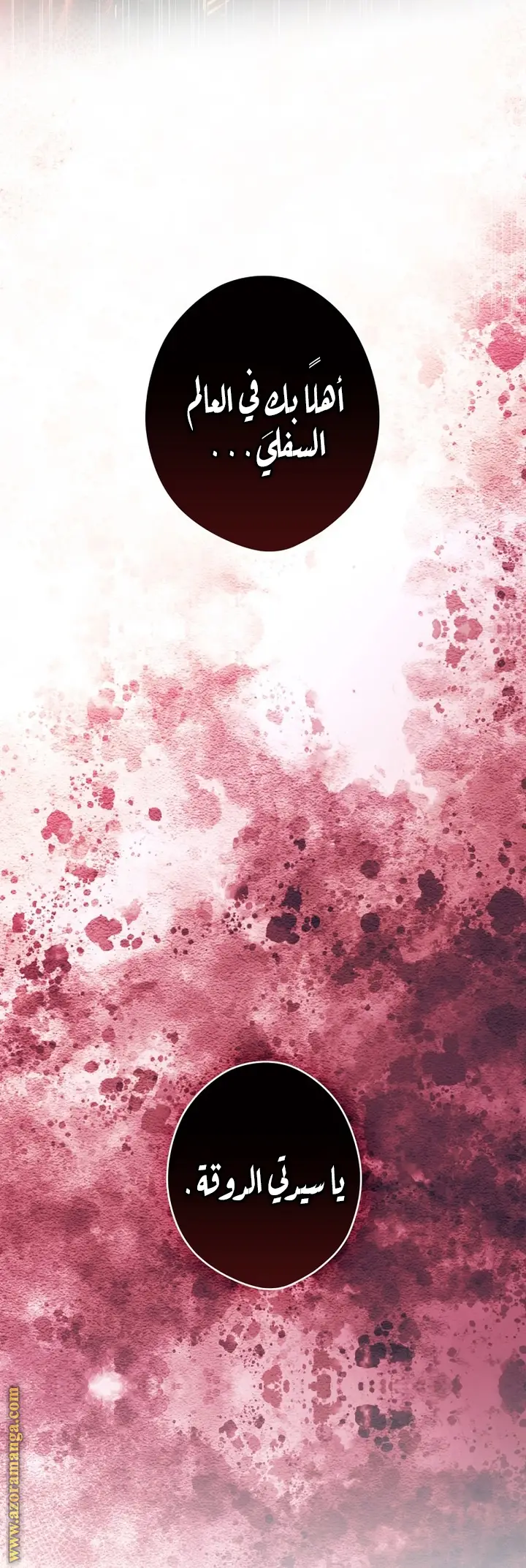 الصفحة 27