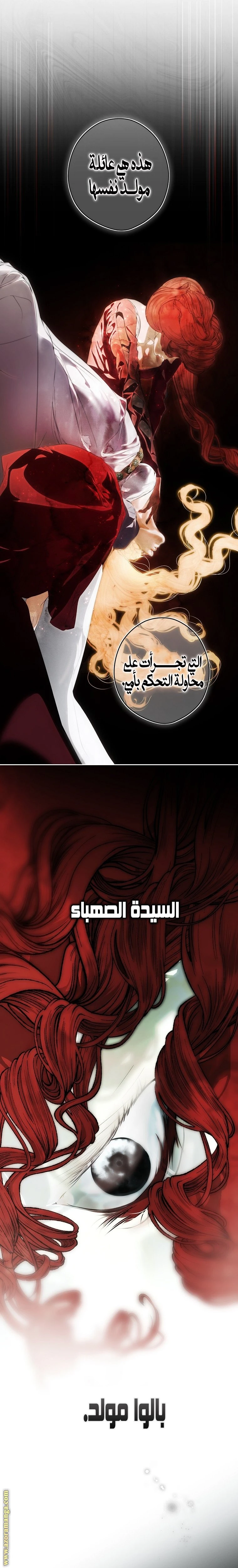 الصفحة 13
