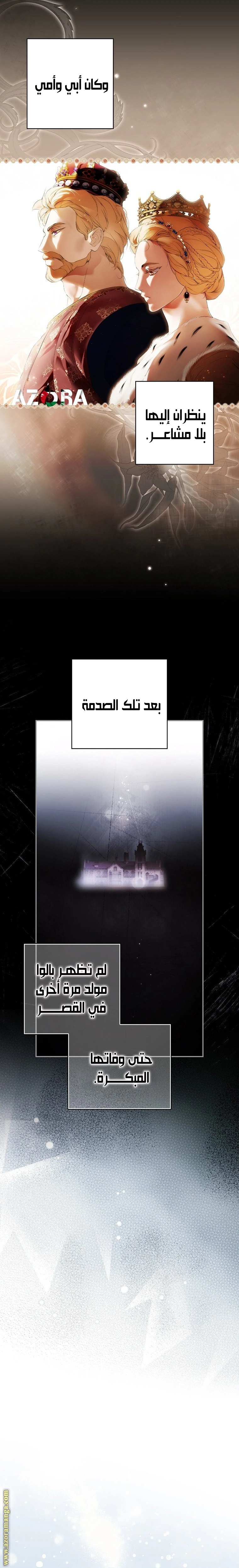 الصفحة 17